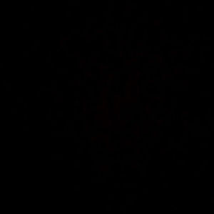 Meet your Posher, Quinasia